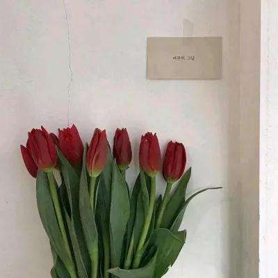 八门游戏手机版下载