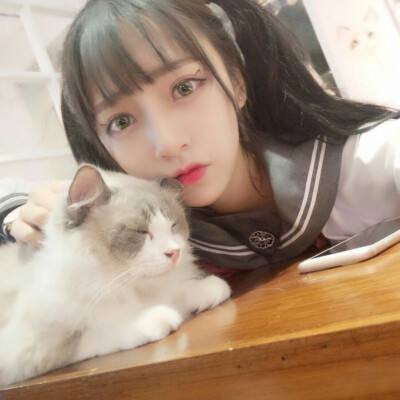 疯狂的领主百度版下载
